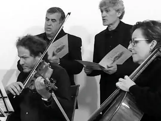 Entradas para ensemble duoplus