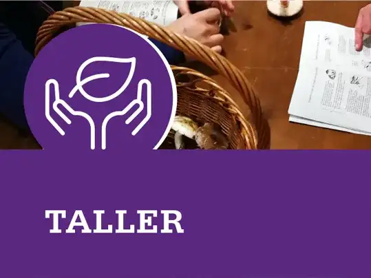 Taller ambiental: "ayuda a la naturaleza en invierno”