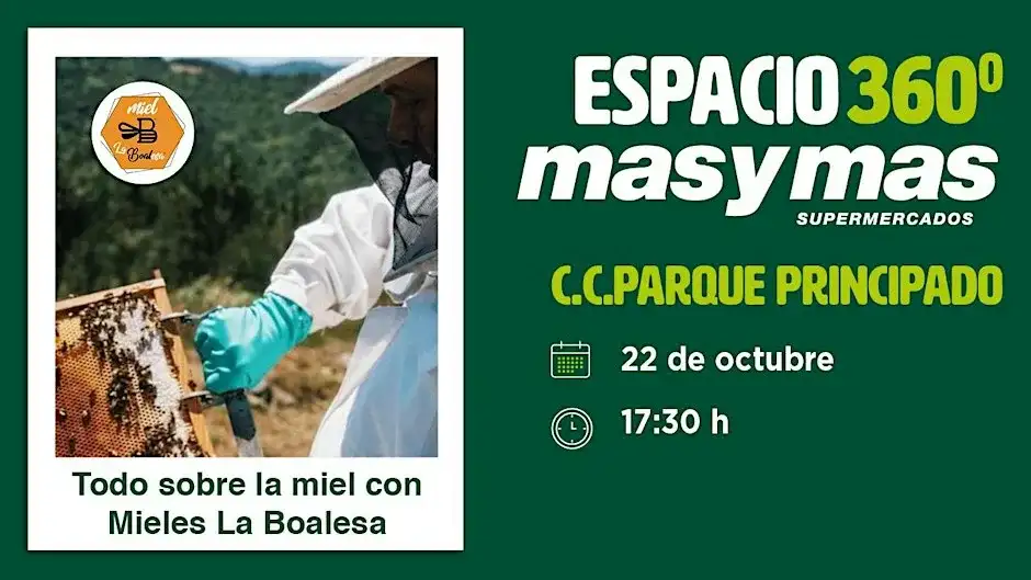 Todo sobre la miel con mieles la boalesa