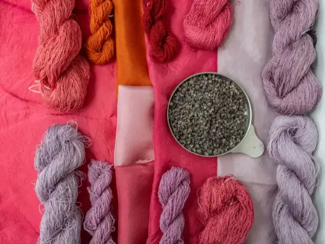 Taller de tintes naturales. Real fábrica de tapices