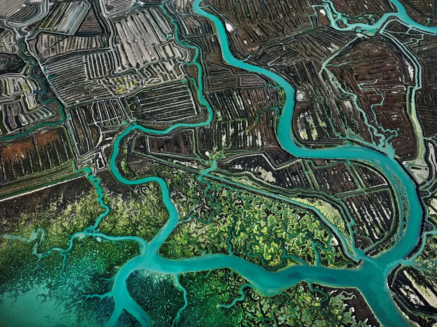 Taller en familia: Agua, de Edward Burtynsky