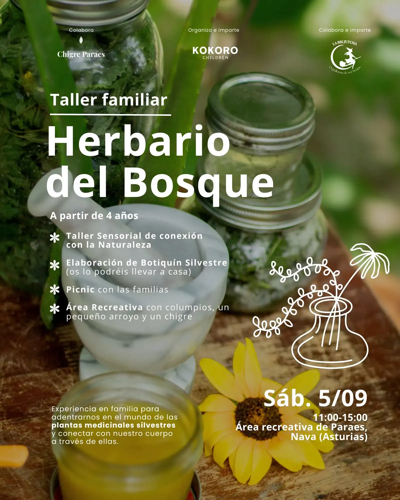 Taller familiar Herbario del Bosque