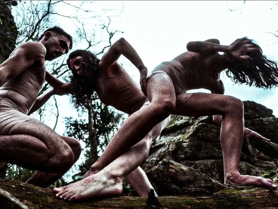 Dana raz dance projects