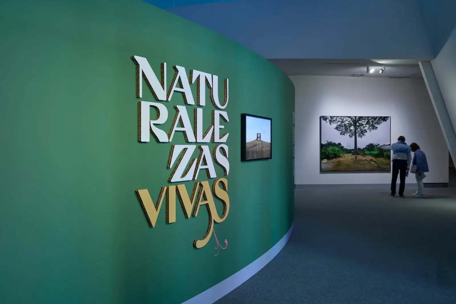 Taller en familia: Naturalezas Vivas