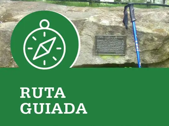 Ruta "observación de aves" día mundial de las aves migratorias