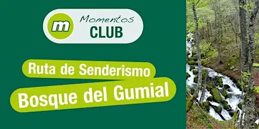 Senderismo en el bosque glumial
