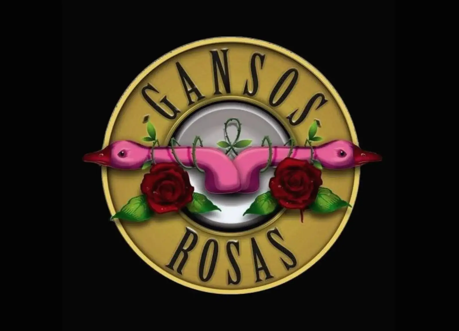 Gansos rosas en Gijón