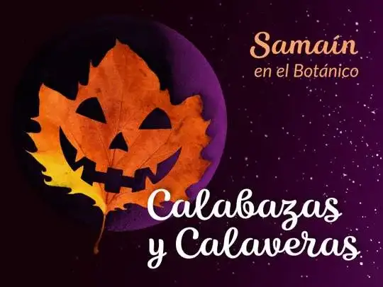 Fiesta adultos: danzad, danzad, malditos