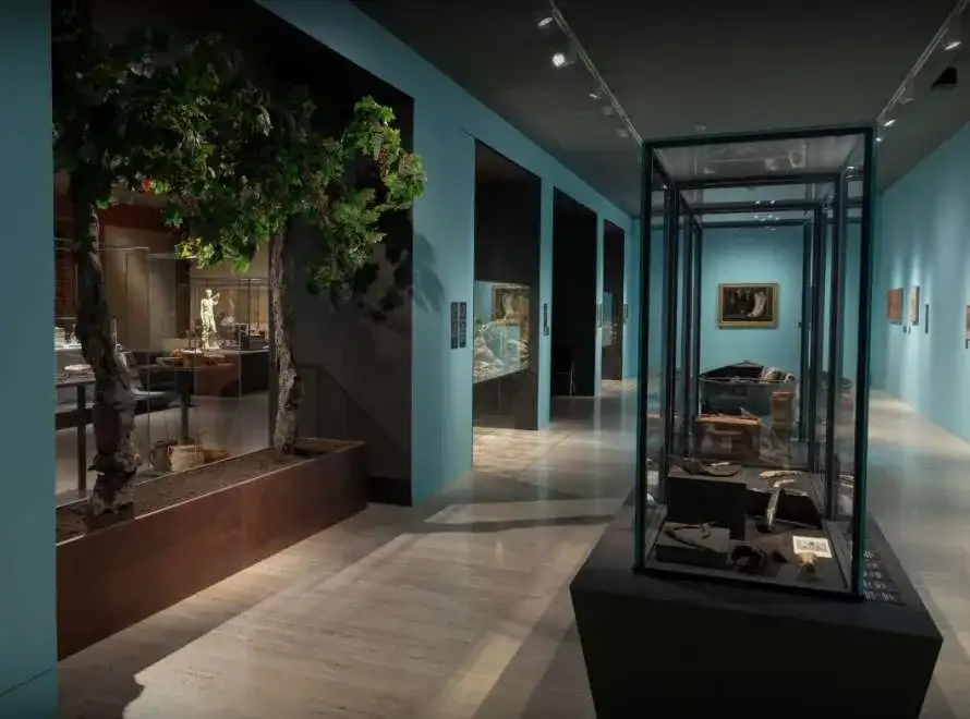 Visitas guiadas a la exposición ''Convivium. Arqueología de la dieta mediterránea''