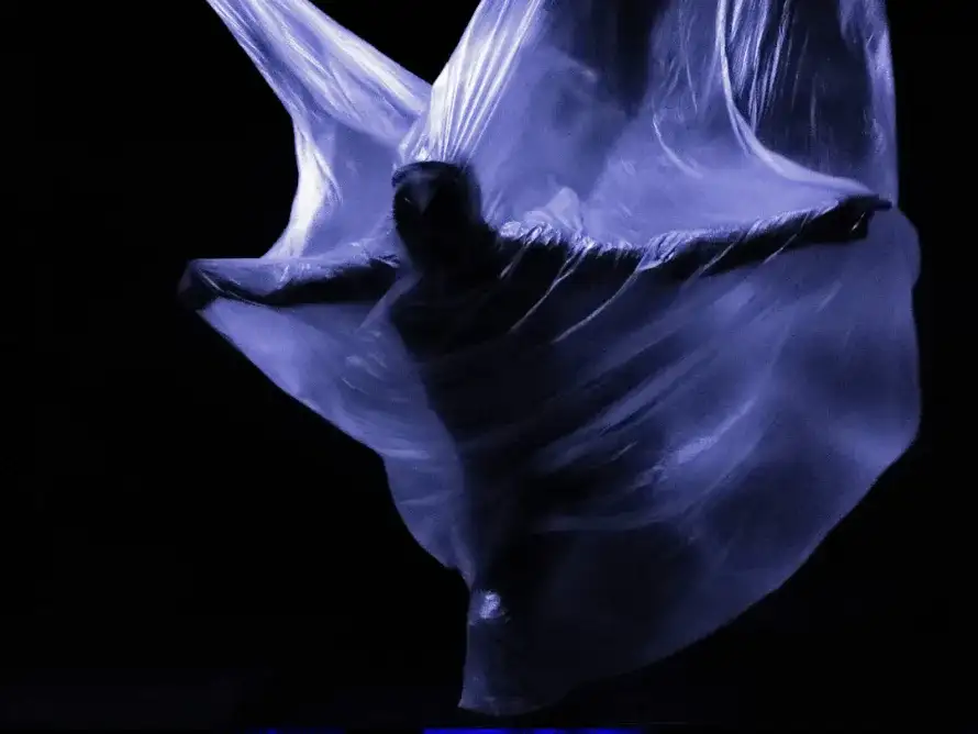 Zig Zag Danza: formaS