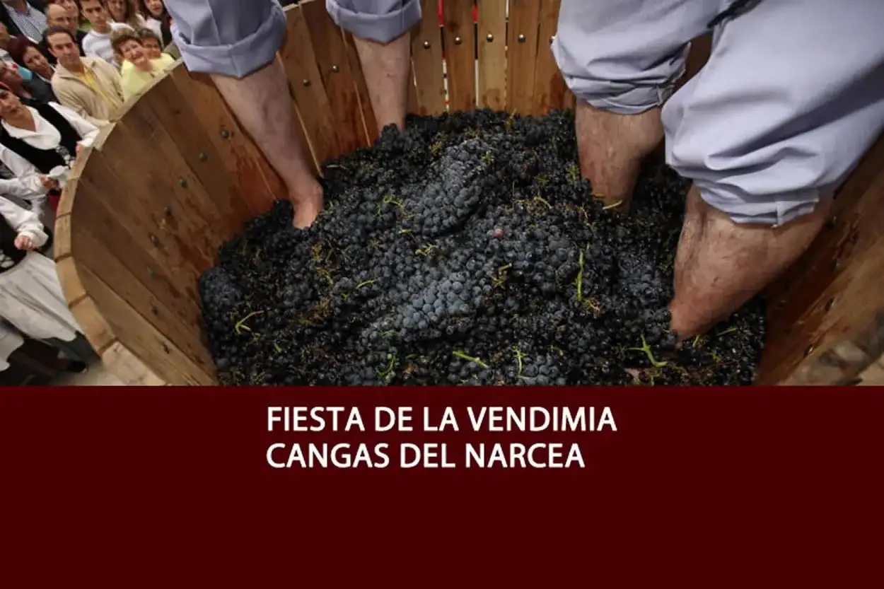 Fiesta de la vendimia 2026